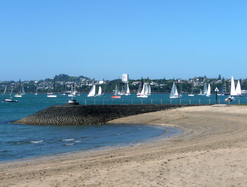 Auckland: Half-Day Private City Highlights Tour - Experience