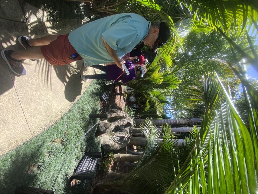 Auckland: Half-Day Private City Highlights Tour - Highlights