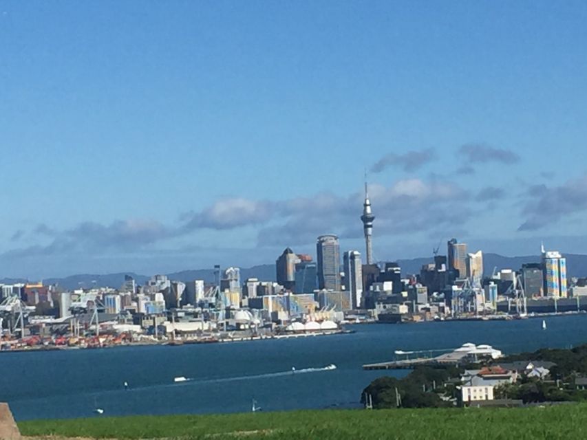 Auckland: Half-Day Private City Highlights Tour - Customer Reviews