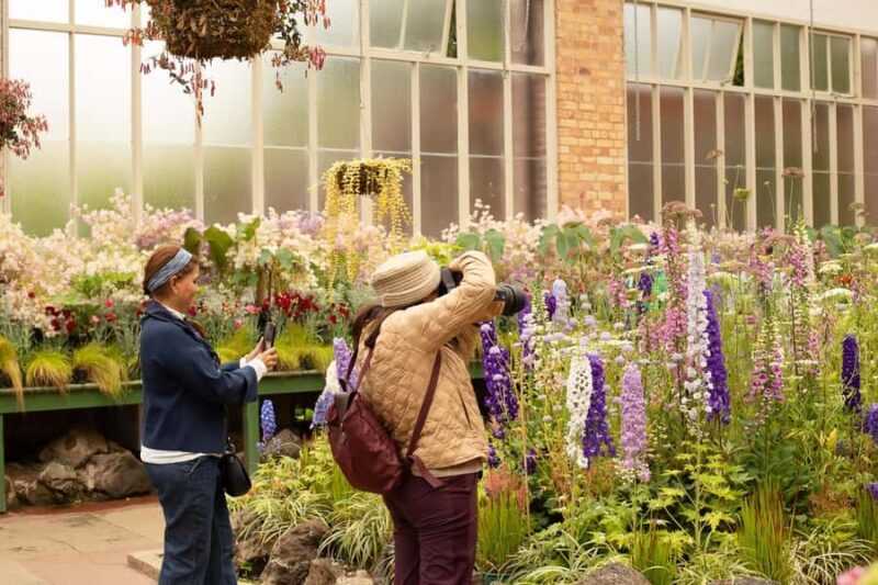 Auckland: Half Day - Private Photography Tour with Portraits - Who Will Love This Tour?