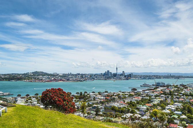 Auckland Harbour Cruise - The Pros and Cons Based on Real Feedback