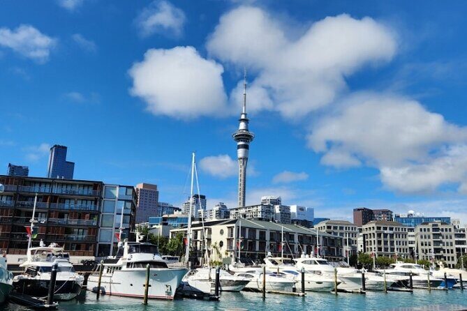 Auckland Highlights Full Day Guided Tour - Auckland Highlights Full Day Guided Tour: An In-Depth Look