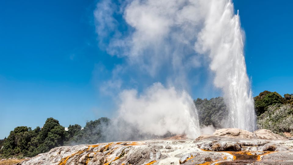 Auckland: Hobbiton and Rotorua With Te Puia Tour - Detailed Itinerary