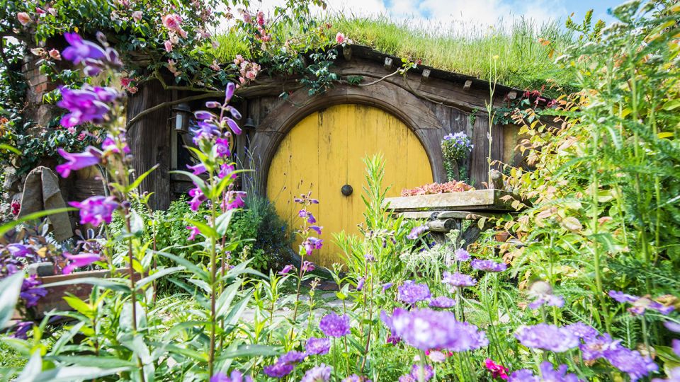 Auckland: Hobbiton and Rotorua With Te Puia Tour - Pickup & Drop-off Locations