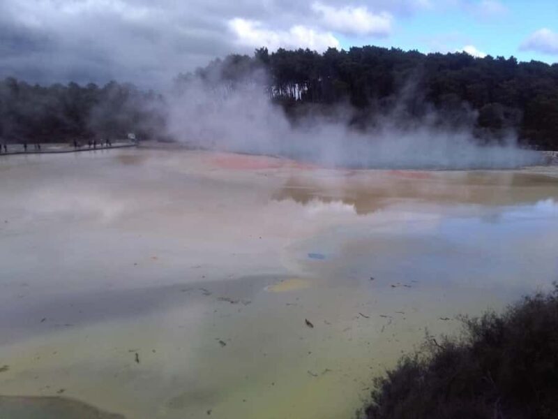 Auckland: Hobbiton, Rotorua, Waiotapu and Waitomo 3-Day Tour - Who Will Love This Tour?