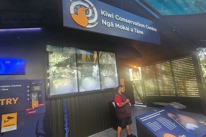 Auckland : Hobbiton & Te puia & red wood forest Private Tour - The Journey to Rotorua: Scenic Drive and First Impressions