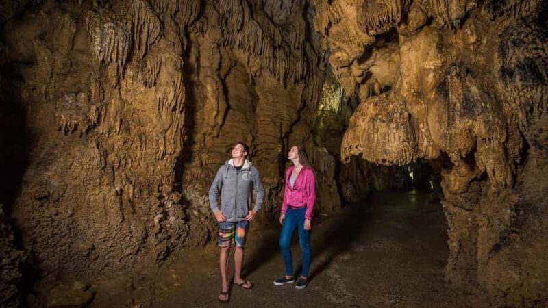 Auckland: Hobbiton, Waitomo Caves, and Rotorua 1-Way Tour - FAQ