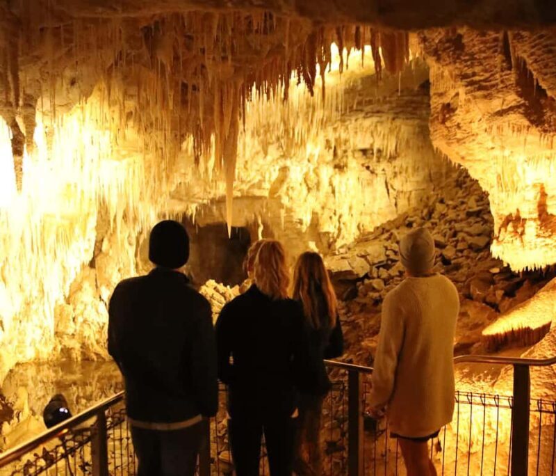 Auckland: Hobbiton & Waitomo Glow Worm Caves Private Tour - The Sum Up