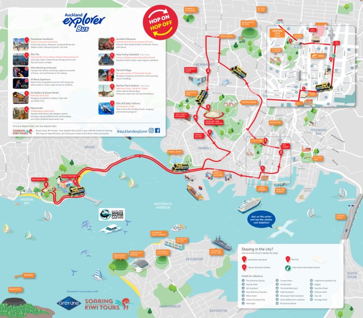 Auckland: Hop-On Hop-Off Explorer Bus Ticket - Key Points