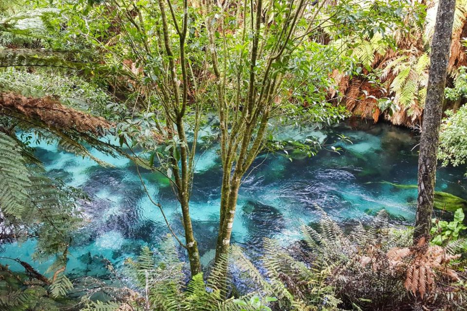 Auckland: LOTR, Hobbiton Movie Set & Hamurana Spring Tour - Directions