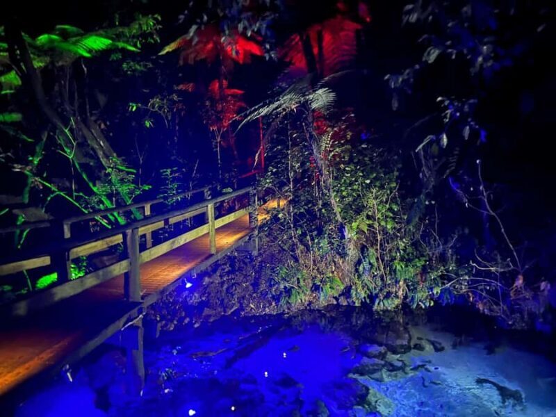 Auckland: Mori Evening Dinner and Private Show Experience - The Sum Up