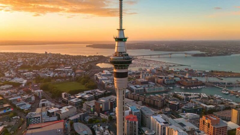 Auckland Museum and Highlight Sightseeing Tour - What Makes This Tour Stand Out?