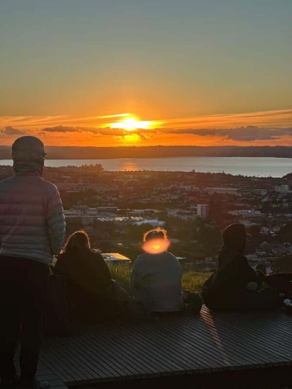 Auckland: Piha Beach, Rainforest, & Mount Eden Private Tour - FAQ