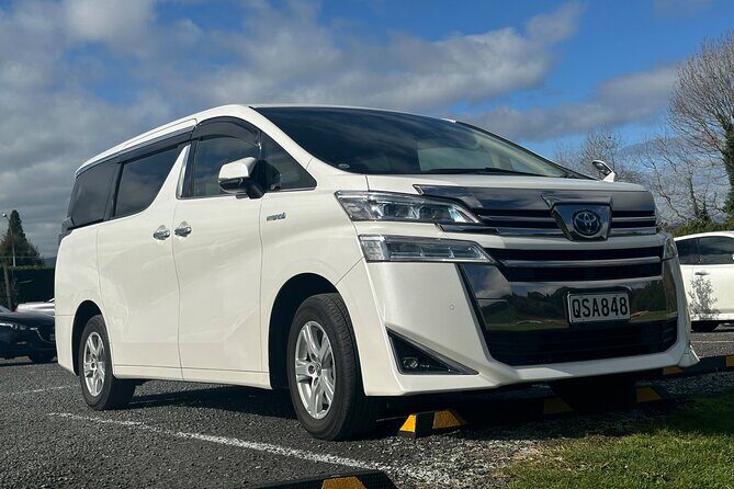 Auckland Private City Highlights Tour 5hrs Sightseeing Experience - Final Thoughts: Who Would Appreciate This Tour?