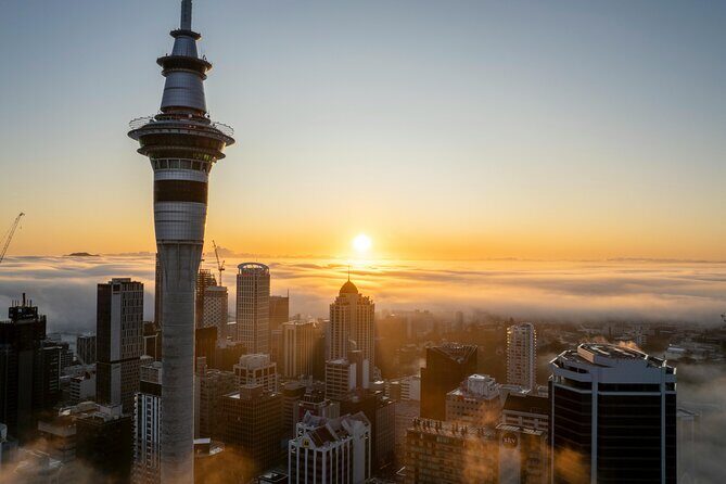 Auckland Private Full Day Attractions Tour & Museums - A Full Breakdown of the Itinerary and What You’ll Experience