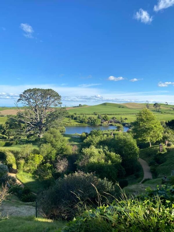 Auckland: Private Hobbiton Movie Set & Waitomo Caves Tour - Key Points