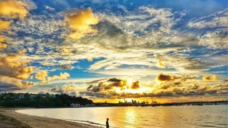 Auckland: Private Sightseeing Full or Half Day Guided Tour - An In-Depth Look at the Tour