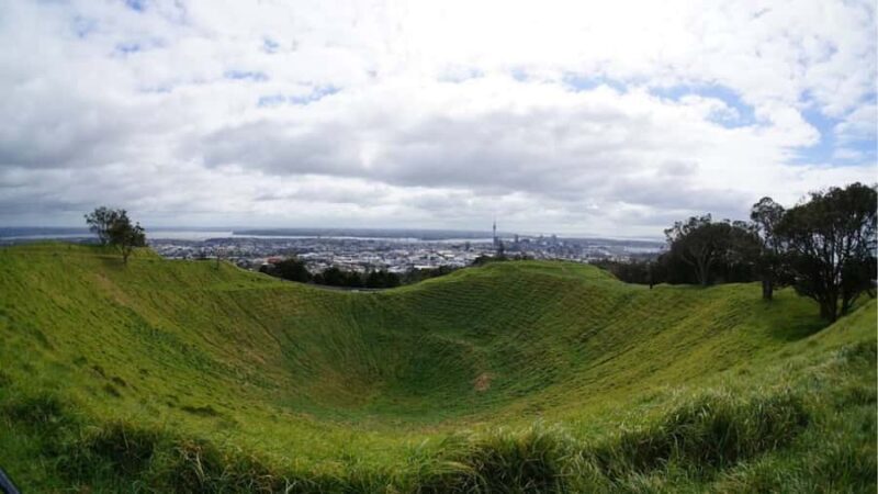 Auckland: Private Sightseeing Full or Half Day Guided Tour - Who Should Consider This Tour?