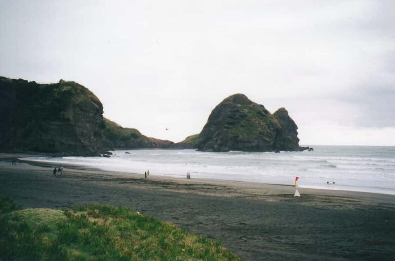 Auckland Private Tour: West Coast Wilderness & Piha Beach - Starting Point: Flexible Pickup and Private Transport
