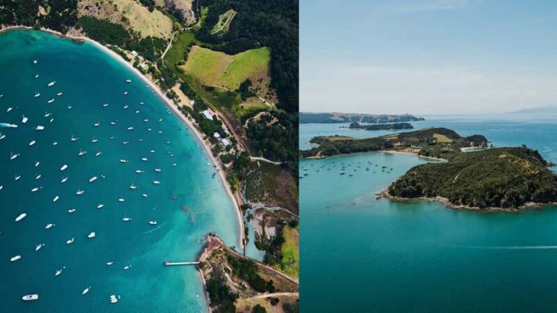 Auckland: Rotoroa Island and Man O'War Vineyard Combo Tour - A Surprisingly Diverse Day