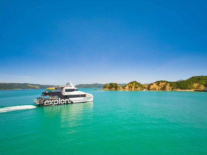 Auckland: Rotoroa Island and Man O'War Vineyard Combo Tour - Authentic Experiences and Traveler Insights