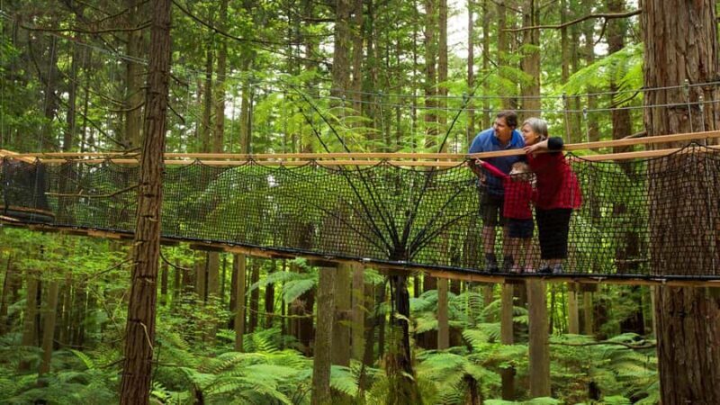 Auckland: Rotorua Highlights inc Te Puia Tour & Redwoods - Who Would Enjoy This Tour?