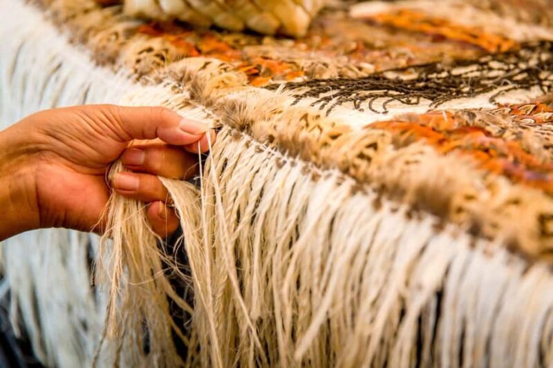 Auckland: Rotorua Highlights inc Wai O Tapu & Te Puia Tour - Who Should Consider This Tour?