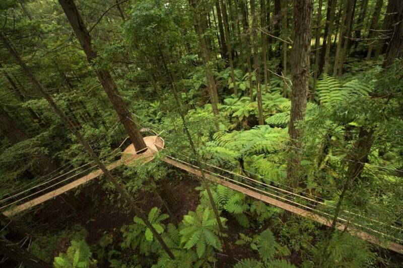 Auckland: Rotorua Highlights w Redwoods Treewalk & Hot Tubs - Rotorua City Highlights