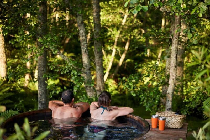 Auckland: Rotorua Highlights w Redwoods Treewalk & Hot Tubs - Analyzing the Value