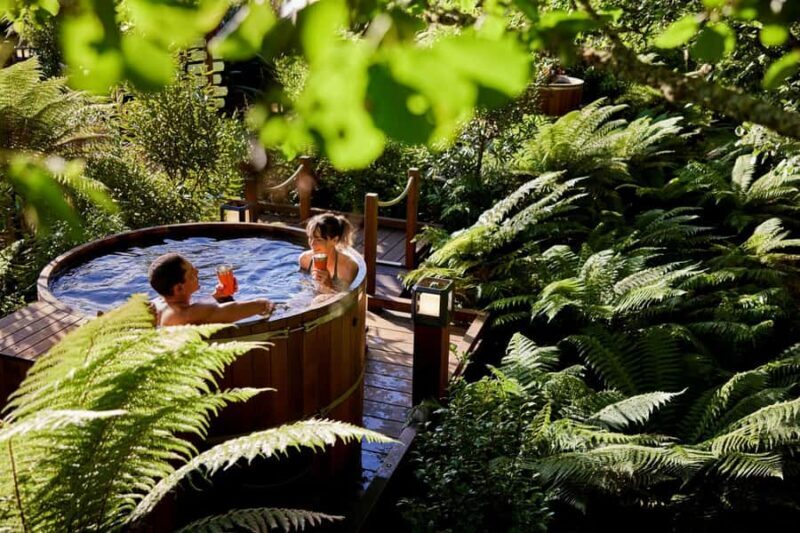 Auckland: Rotorua Highlights w TePuia & Secret Spot Hot Tubs - Key Points
