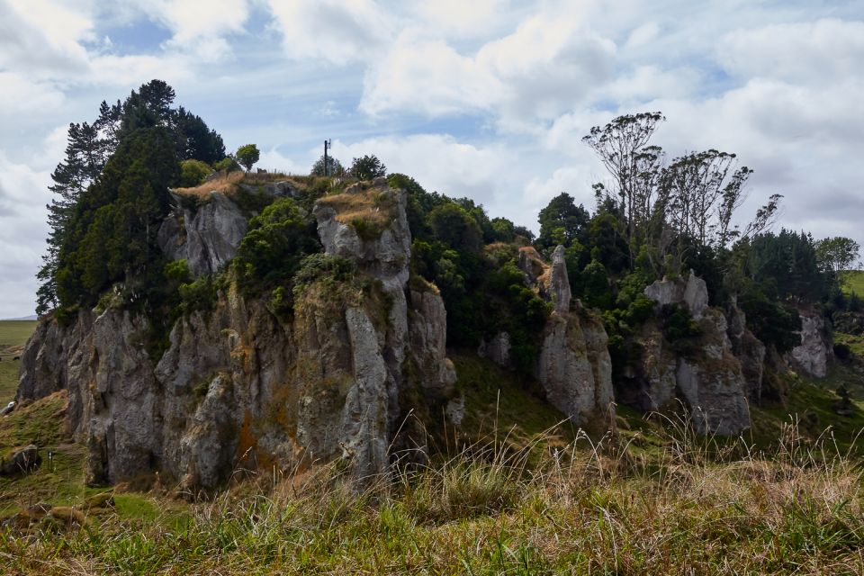 Auckland/Rotorua: Hobbiton and Waitomo Day Tour With Lunch - Customer Reviews