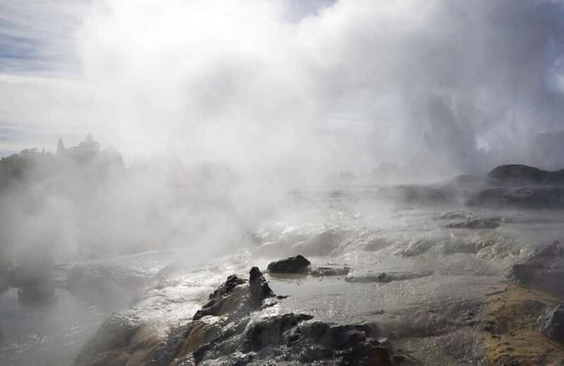 Auckland: Rotorua Living Maori Village Tour w/ Haka & Lunch - Key Points