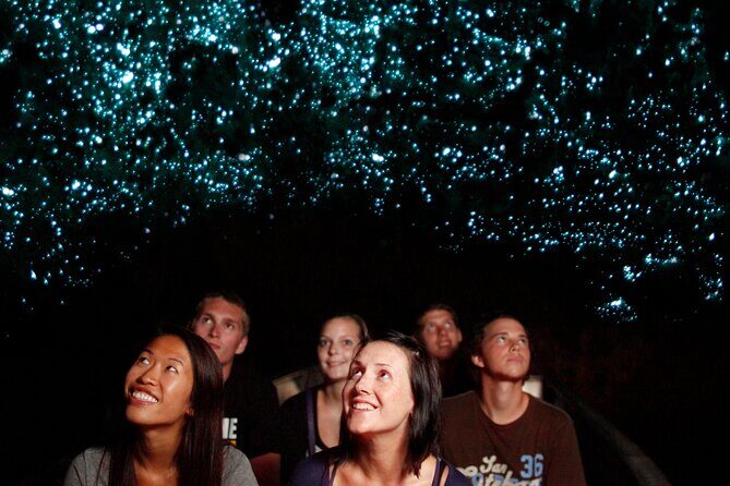 Auckland: Rotorua Mori Village, Waitomo Caves & Lunch - A Closer Look: What You Can Expect