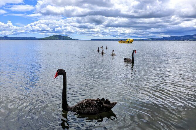 Auckland: Rotorua, Taupo, Waiotapu & Huka Falls Private Trip - What Past Travelers Say