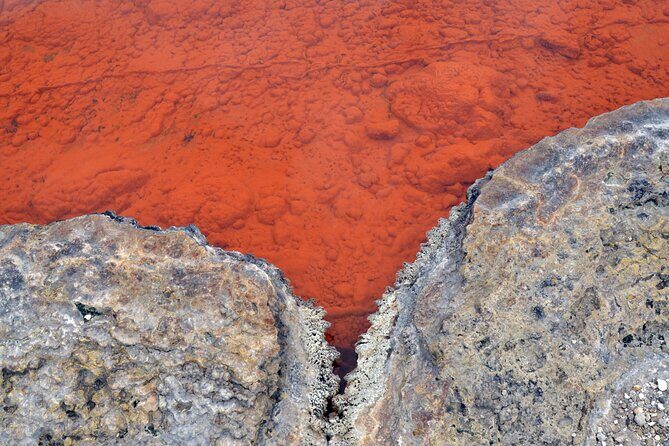 Auckland: Rotorua Tour with Waiotapu, Te Puia and Maori Haka - Final Thoughts