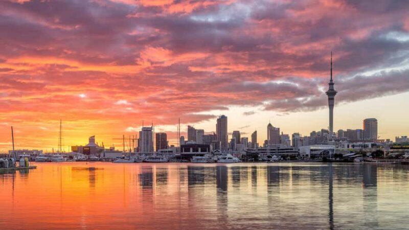 Auckland: Scenic City Discovery Half-Day Tour - Key Points
