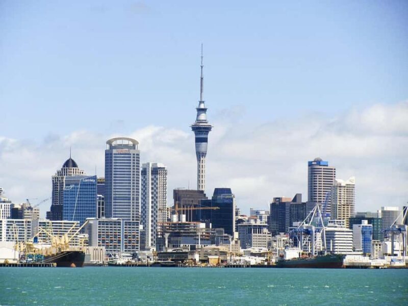 Auckland: Scenic Wine and Cheese Harbour Cruise - Key Points