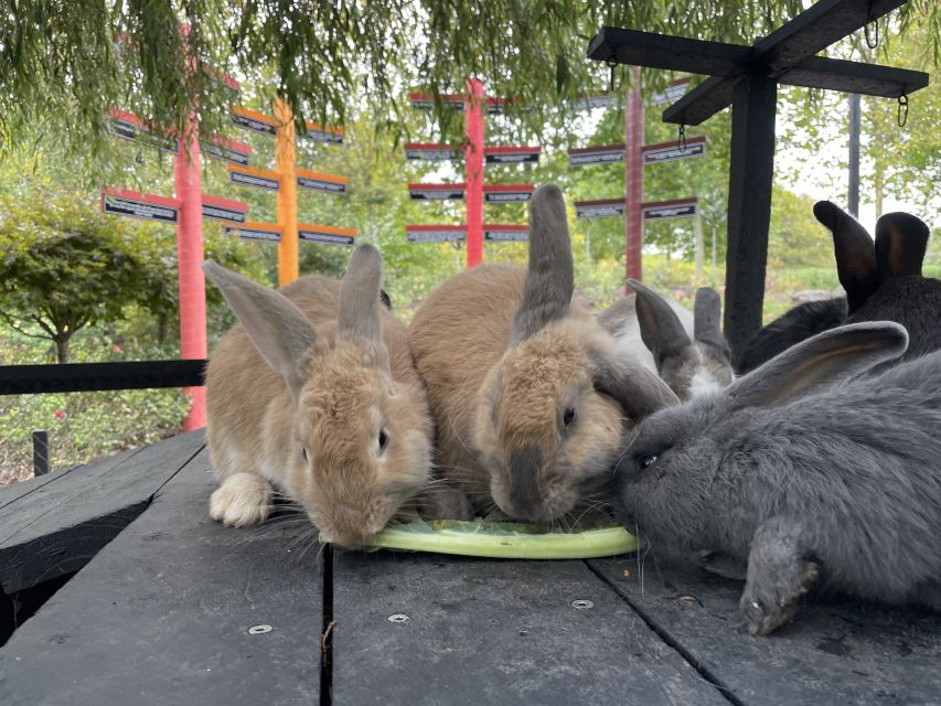 Auckland: Sculptureum Gardens and Galleries Entry Ticket - Cancellation Policy and Duration