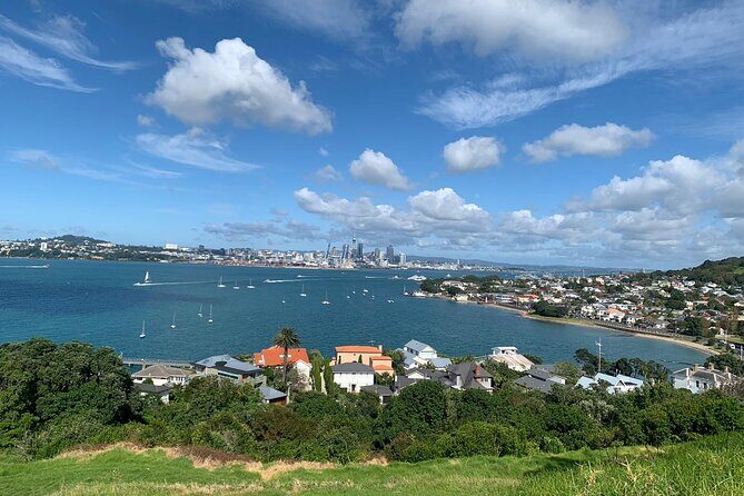 Auckland Sightseeing Half Day Tour - A Compact but Well-Rounded Tour of Auckland