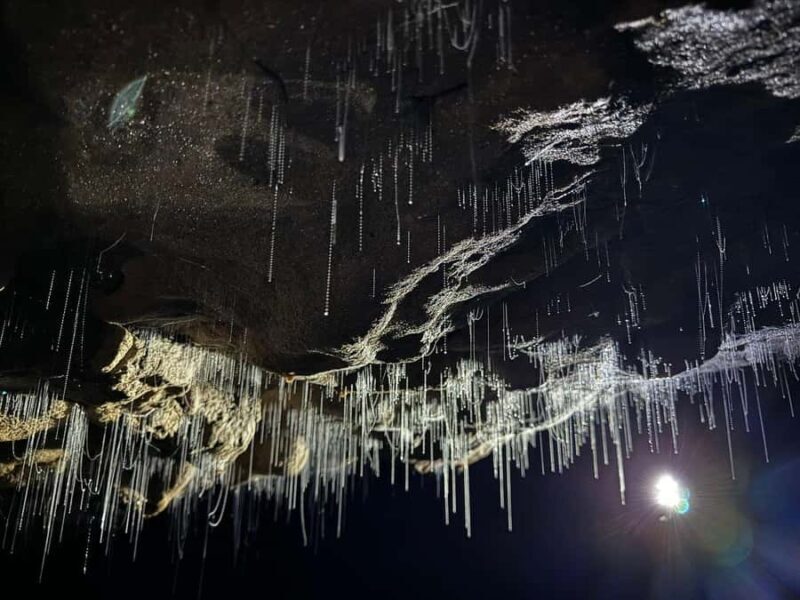 Auckland: Spellbound Glowworm Caves Explorer Tour - Key Points