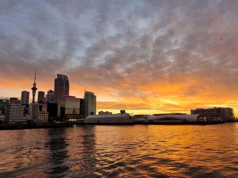 Auckland Sunset Harbour Cruise - Key Points