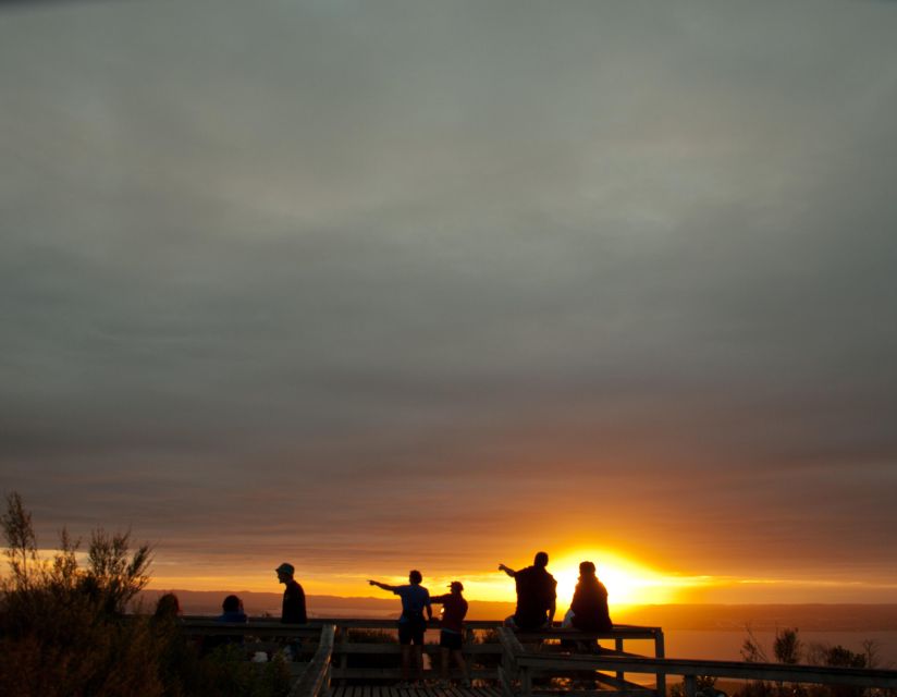 Auckland: Sunset & Night Sea Kayak Tour to Rangitoto Island - Group Size and Inclusions