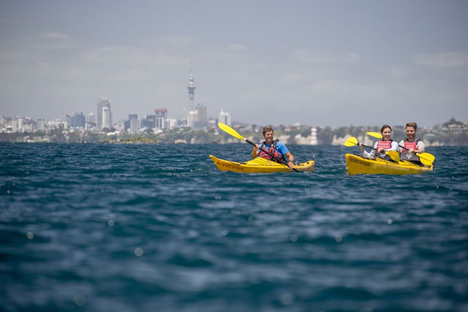 Auckland: Sunset & Night Sea Kayak Tour to Rangitoto Island - Customer Reviews