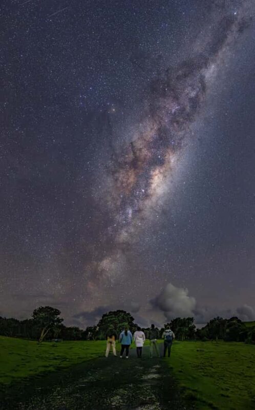 Auckland (Tawharanui): Wild Kiwi Bird Spotting Encounter - An Adventure into New Zealand’s Nightlife  