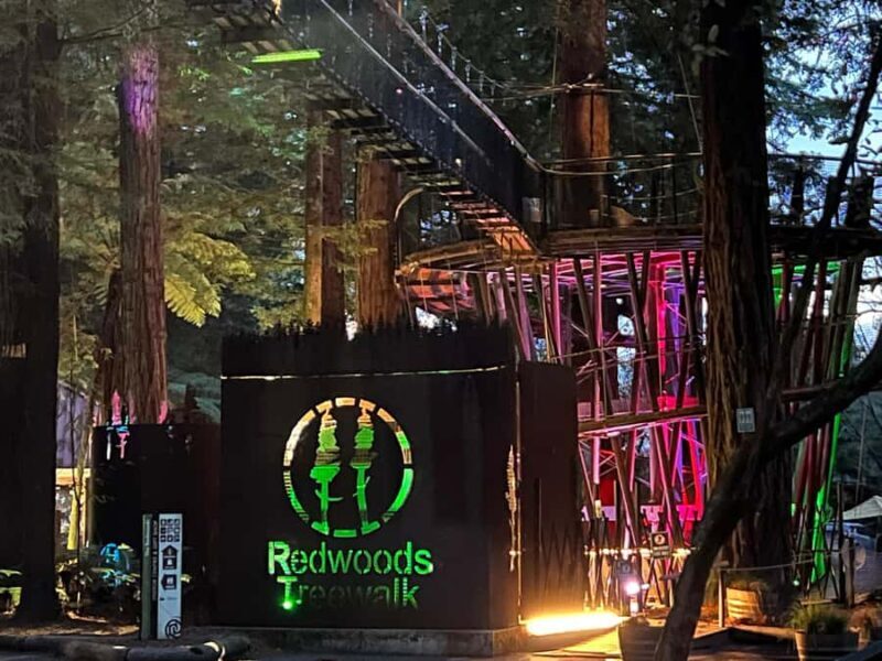 Auckland: TE PUIA Rotorua, Redwood & Blue Springs Day Tour - An Introduction to the Tour Experience