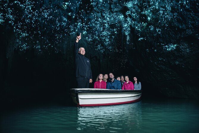 Auckland: Te Puia Rotorua & Waitomo Caves Small Group with Lunch - Key Points