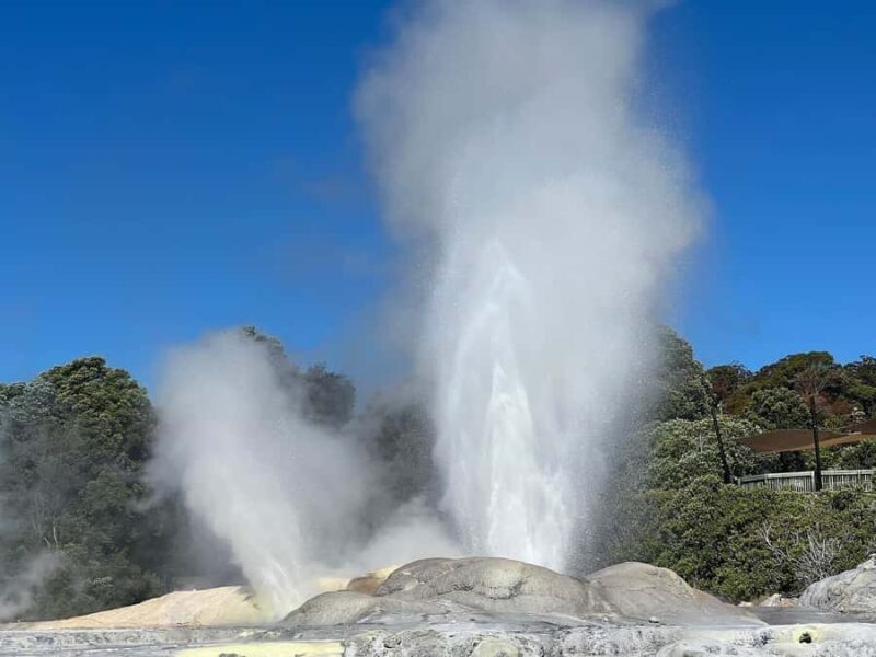 Auckland: Te Puia & Wai Ariki Hot Springs Tour - Final Thoughts: Is This Tour Right for You?