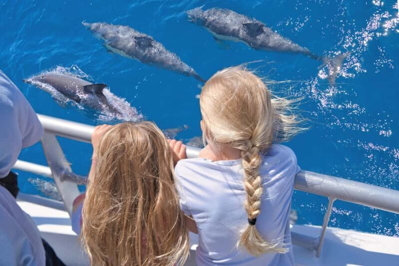 Auckland: Tikapa Moana Whales, Dolphins and Islands Cruise - Authentic Experiences and What Travelers Say