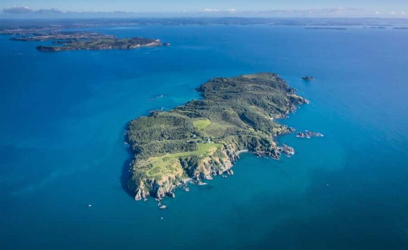 Auckland: Tiritiri Matangi Island Ferry - Key Points
