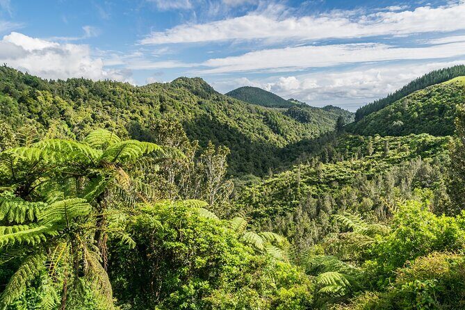 Auckland to Hobbiton Private Tour Shire Movie Set and Waikato - Who Will Love This Tour?
